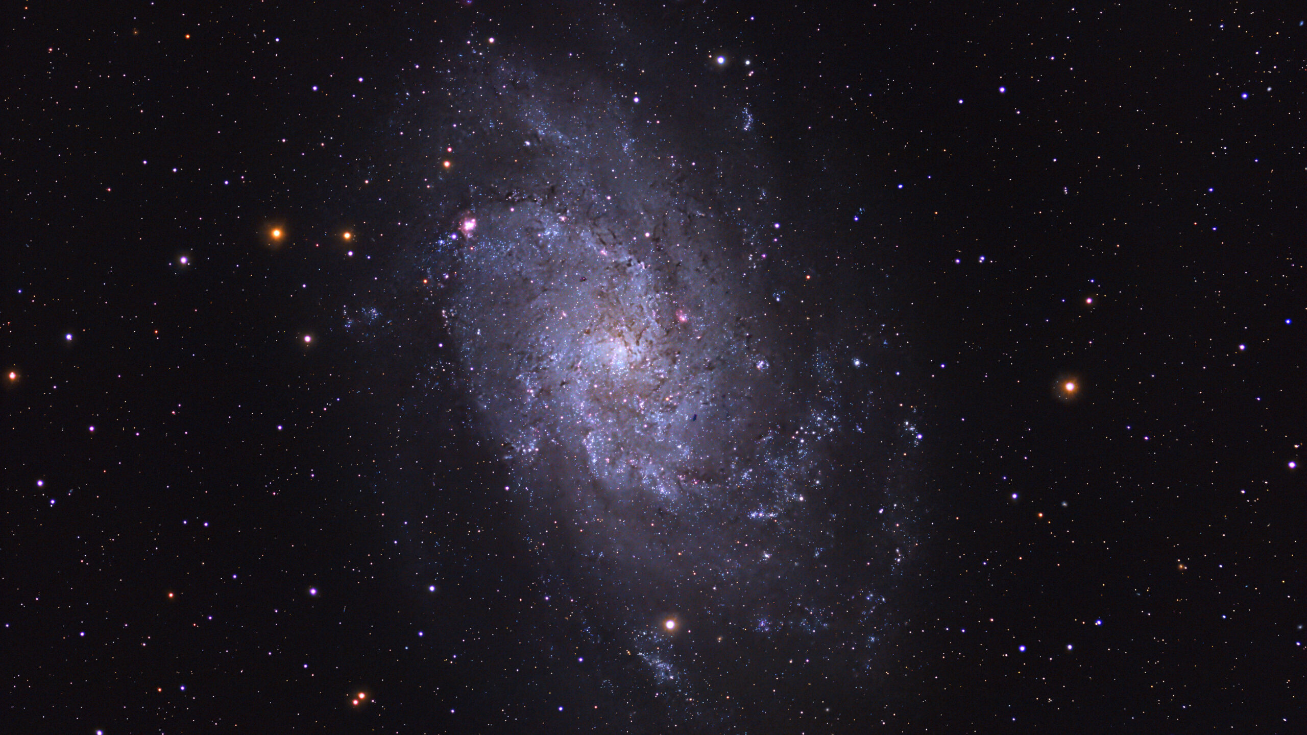 m 33hp